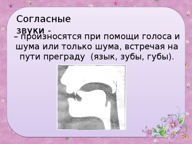 Согласные звуки - – произносятся при помощи голоса и шума или только шума, встречая на пути преграду (язык, зубы, губы).   