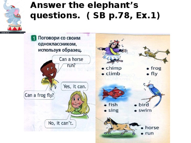 Answer the elephant’s questions. ( SB p.78, Ex.1) 