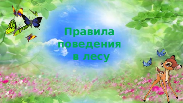 Правила поведения в лесу 
