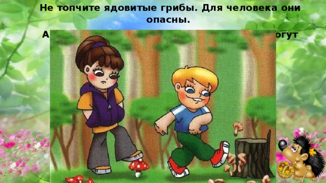 Не топчите ядовитые грибы. Для человека они опасны. А для животных и насекомых эти грибы могут оказаться съедобными. 