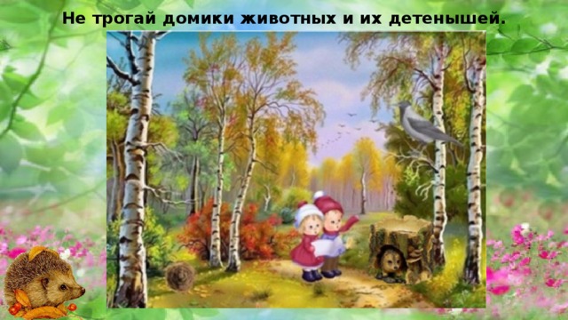 Не трогай домики животных и их детенышей. 