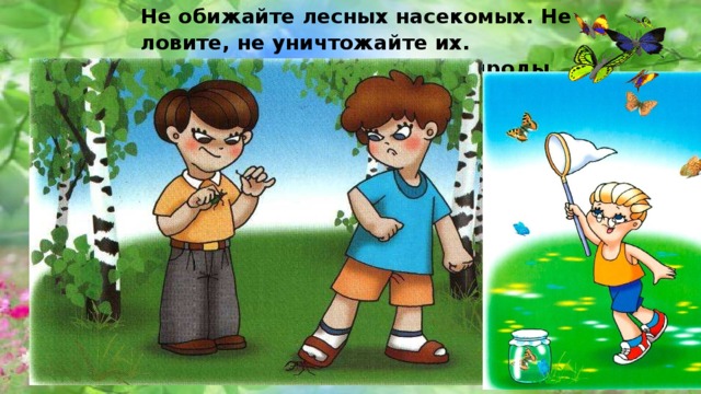 Не обижайте лесных насекомых. Не ловите, не уничтожайте их. Насекомые часть лесной природы. 