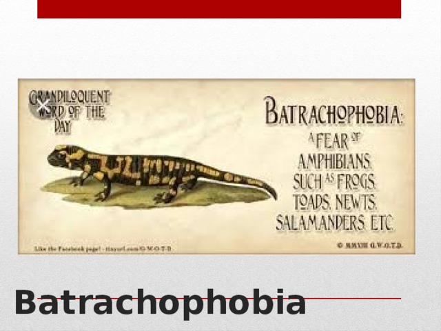 Batrachophobia 