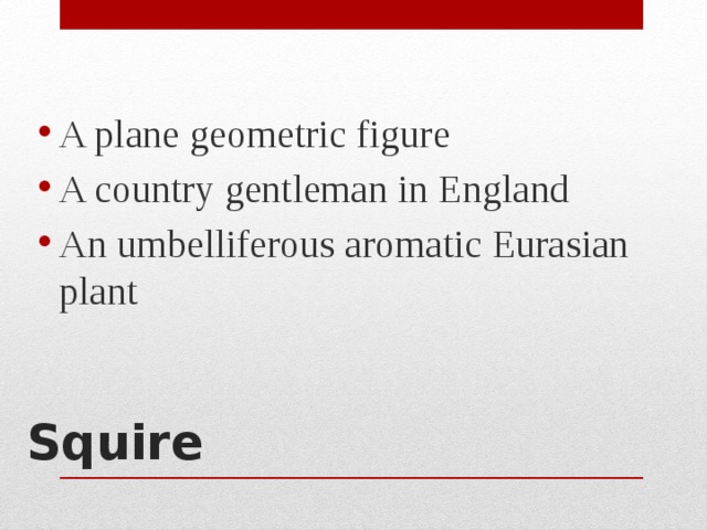 A plane geometric figure A country gentleman in England An umbelliferous aromatic Eurasian plant Squire   