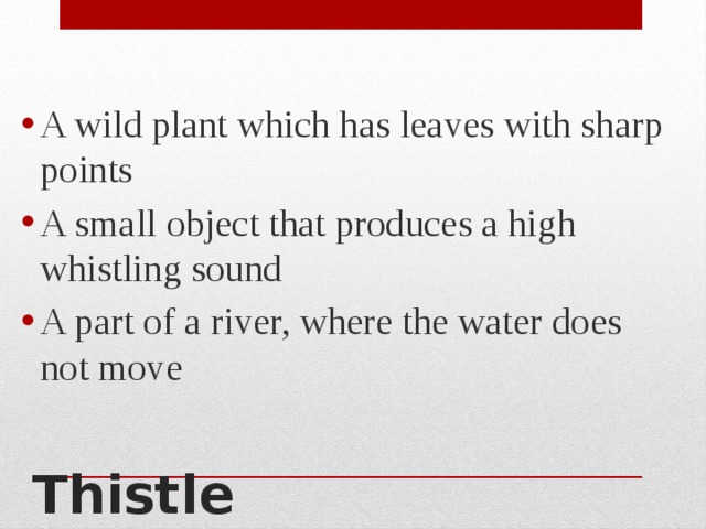 A wild plant which has leaves with sharp points A small object that produces a high whistling sound A part of a river, where the water does not move Thistle 