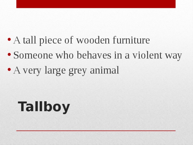 A tall piece of wooden furniture Someone who behaves in a violent way A very large grey animal Tallboy   