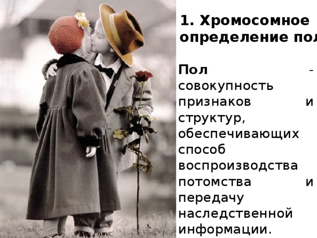 1. Хромосомное определение пола Пол - совокупность признаков и структур, обеспечивающих способ воспроизводства потомства и передачу наследственной информации. 