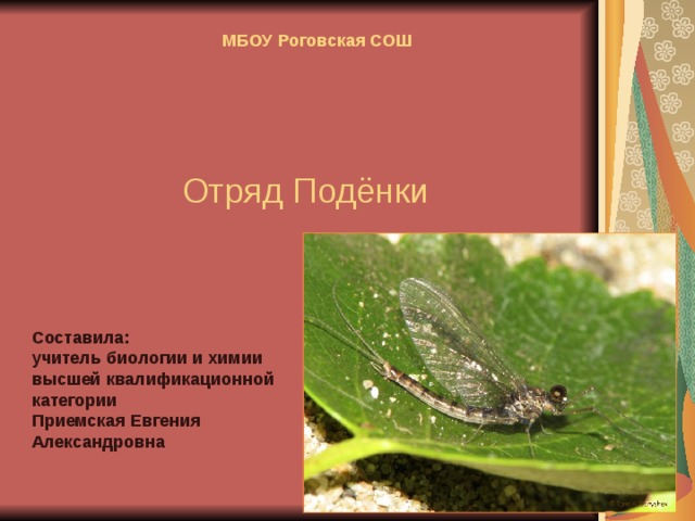 МБОУ Роговская СОШ  Отряд Подёнки Составила: учитель биологии и химии высшей квалификационной категории Приемская Евгения Александровна  