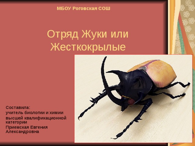 МБОУ Роговская СОШ    Отряд Жуки или Жесткокрылые Составила: учитель биологии и химии высшей квалификационной категории Приемская Евгения Александровна 