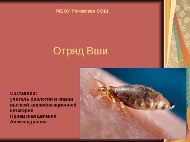 МБОУ Роговская СОШ  Отряд Вши Составила: учитель биологии и химии высшей квалификационной категории Приемская Евгения Александровна  