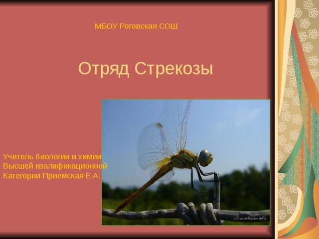 МБОУ Роговская СОШ Отряд Стрекозы Учитель биологии и химии Высшей квалификационной Категории Приемская Е.А. 