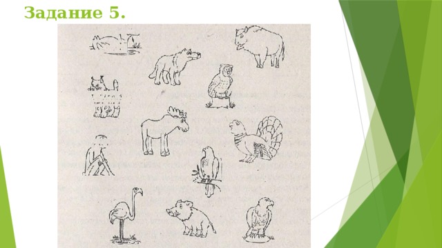 Задание 5. 