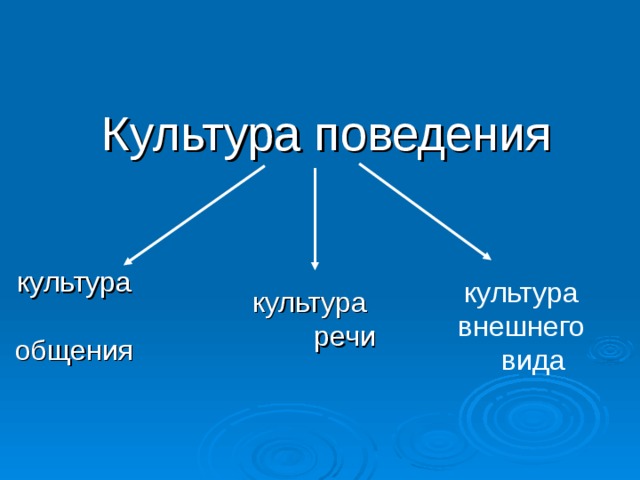  Культура поведения культура общения культура внешнего вида культура речи 