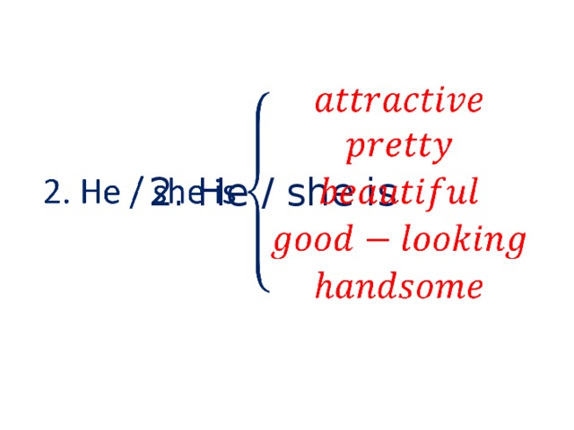 2. He / she is     