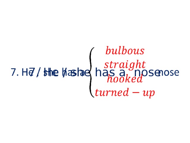 7. He / she has a  nose   
