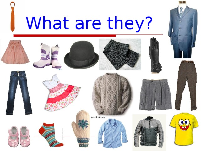 What are they? 