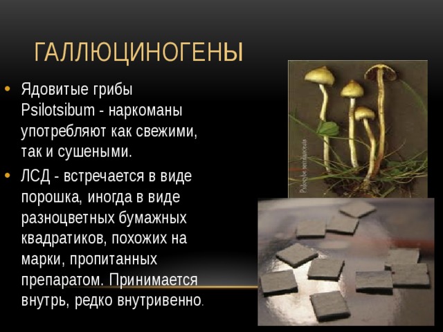 Галлюциногены Ядовитые грибы Psilotsibum - наркоманы употребляют как свежими, так и сушеными. ЛСД - встречается в виде порошка, иногда в виде разноцветных бумажных квадратиков, похожих на марки, пропитанных препаратом. Принимается внутрь, редко внутривенно . 