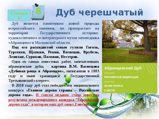 8 Дуб черешчатый   Станция Дуб является памятником живой природы всероссийского значения, он произрастает на территории Государственного историко-художественного и литературного музея-заповедника «Абрамцево» в Московской области. Под его раскидистой сенью гуляли Гоголь, Тургенев, Щепкин, Репин, Васнецов, Врубель, Левитан, Суриков, Поленов, Нестеров. Одна из самых известных работ, запечатлевших абрамцевские дубы, - картина В.М. Васнецова «Дубовая роща в Абрамцеве», написанная в 1883 году и ныне хранящаяся в Государственной Третьяковской галерее». В 2018 году дуб стал победителем национального конкурса «Главное дерево страны – Российское дерево года». И совсем недавно стали известны результаты международного конкурса 