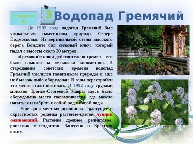 3   Водопад Гремячий Станция  До 1992 года водопад Гремячий был уникальным памятником природы Севера Подмосковья. Из вертикальной стены высокого берега Вондиги бил сильный ключ, который падал с высоты около 30 метров.  «Гремячий» ключ действительно гремел – его было слышно за несколько километров. В стародавние советские времена водопад Гремячий числился памятником природы и еще не был как-либо оборудован. В годы перестройки это место стали обживать. В 1992 году трудами монахов Троице-Сергеевой Лавры здесь было оборудовано место паломничества, где можно напиться и набрать с собой родниковой воды.  Еще одна местная диковинка - растущее в окрестностях родника растение-цветок лунник оживающий. Растение древнее, реликтовое, ровесник мастодонтов. Занесено в Красную книгу. 