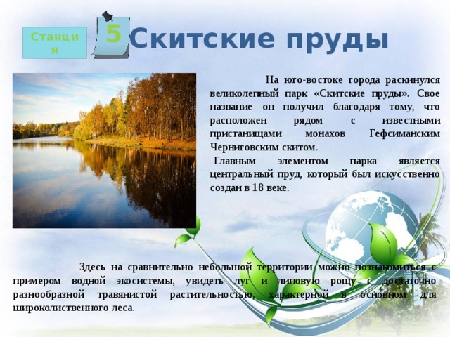 5   Скитские пруды Станция  На юго-востоке города раскинулся великолепный парк «Скитские пруды». Свое название он получил благодаря тому, что расположен рядом с известными пристанищами монахов Гефсиманским Черниговским скитом. Главным элементом парка является центральный пруд, который был искусственно создан в 18 веке.  Здесь на сравнительно небольшой территории можно познакомиться с примером водной экосистемы, увидеть луг и липовую рощу с достаточно разнообразной травянистой растительностью, характерной в основном для широколиственного леса. 