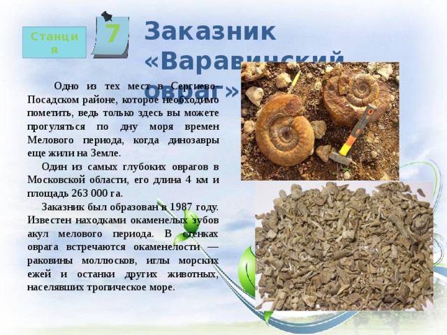 Заказник «Варавинский овраг» 7   Станция  Одно из тех мест в Сергиево-Посадском районе, которое необходимо пометить, ведь только здесь вы можете прогуляться по дну моря времен Мелового периода, когда динозавры еще жили на Земле.  Один из самых глубоких оврагов в Московской области, его длина 4 км и площадь 263 000 га.  Заказник был образован в 1987 году. Известен находками окаменелых зубов акул мелового периода. В стенках оврага встречаются окаменелости — раковины моллюсков, иглы морских ежей и останки других животных, населявших тропическое море. 