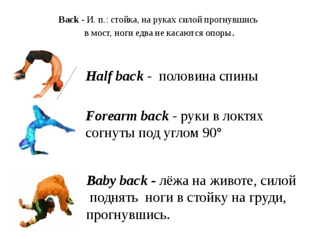  Back - И. п.: стойка, на руках силой прогнувшись  в мост, ноги едва не касаются опоры . Half back - половина спины Forearm  back - руки в локтях согнуты под углом 90° Baby back - лёжа на животе, силой  поднять ноги в стойку на груди, прогнувшись. 
