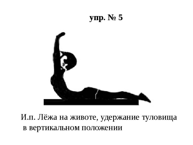 упр. № 5 И.п. Лёжа на животе, удержание туловища  в вертикальном положении 
