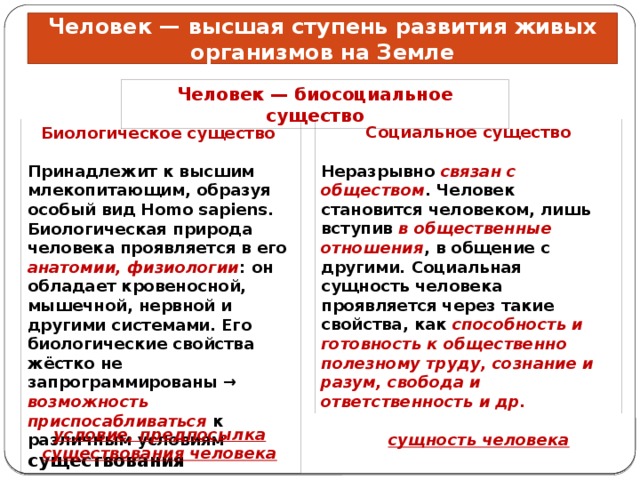 Человек — высшая ступень развития живых организмов на Земле Человек — биосоциальное существо Биологическое существо Социальное существо   Принадлежит к высшим млекопитающим, образуя особый вид Homo sapiens. Биологическая природа человека проявляется в его анатомии, физиологии : он обладает кровеносной, мышечной, нервной и другими системами. Его биологические свойства жёстко не запрограммированы → возможность приспосабливаться к различным условиям существования Неразрывно связан с обществом . Человек становится человеком, лишь вступив в общественные отношения , в общение с другими. Социальная сущность человека проявляется через такие свойства, как способность и готовность к общественно полезному труду, сознание и разум, свобода и ответственность и др. условие, предпосылка существования человека сущность человека 