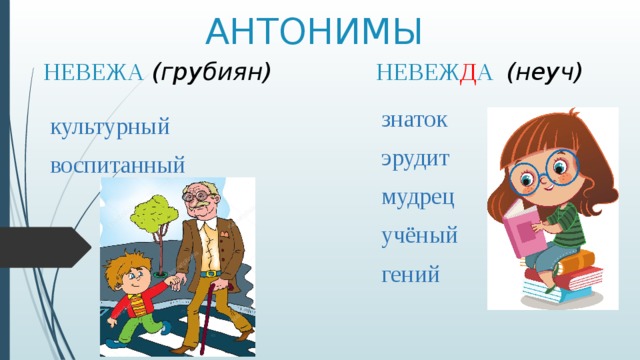АНТОНИМЫ НЕВЕЖА (грубиян) НЕВЕЖ Д А (неуч) знаток эрудит мудрец учёный гений культурный воспитанный 