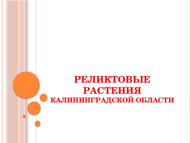 РЕЛИКТОВЫЕ РАСТЕНИЯ КАЛИНИНГРАДСКОЙ ОБЛАСТИ 