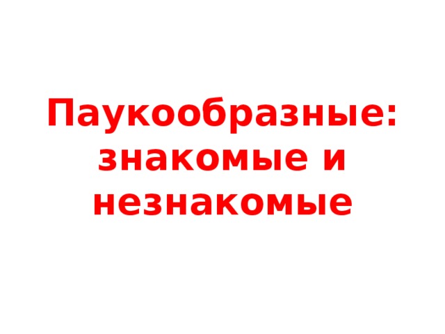 Паукообразные: знакомые и незнакомые 