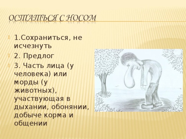 1.Сохраниться, не исчезнуть 2. Предлог 3. Часть лица (у человека) или морды (у животных), участвующая в дыхании, обонянии, добыче корма и общении  