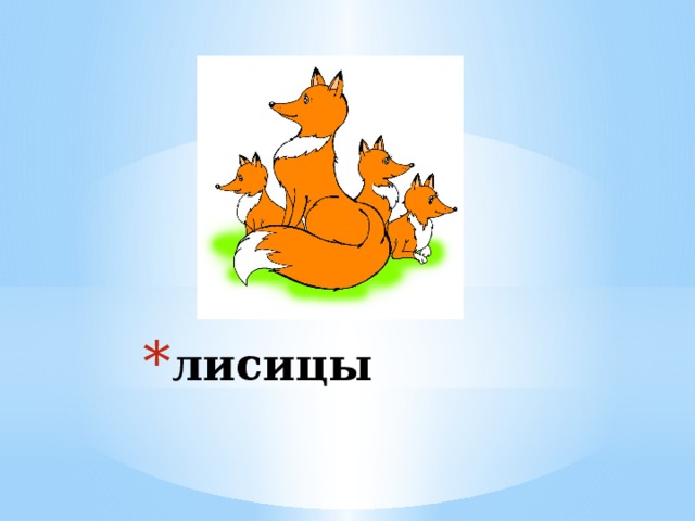 лисицы 