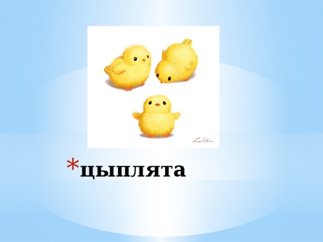 цыплята 