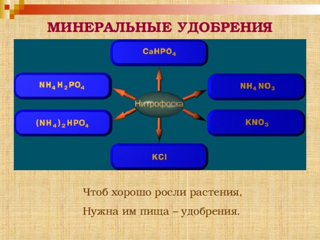 МИНЕРАЛЬНЫЕ УДОБРЕНИЯ Чтоб хорошо росли растения, Нужна им пища – удобрения.  