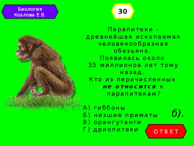 30 Биология Козлова Е.В. Парапитеки - древнейшая ископаемая человекообразная обезьяна. Появилась около 35 миллионов лет тому назад. Кто из перечисленных не относится к парапитекам? А) гиббоны Б) низшие приматы В) орангутанги Г) дриопитеки б). ОТВЕТ 