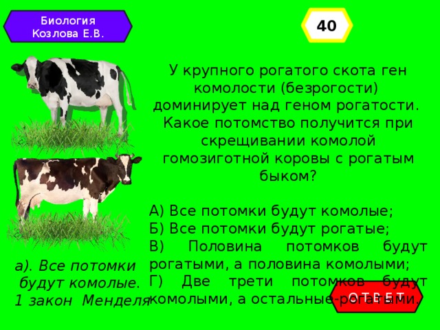 40 Биология Козлова Е.В. У крупного рогатого скота ген комолости (безрогости) доминирует над геном рогатости. Какое потомство получится при скрещивании комолой гомозиготной коровы с рогатым быком? А) Все потомки будут комолые; Б) Все потомки будут рогатые; В) Половина потомков будут рогатыми, а половина комолыми; Г) Две трети потомков будут комолыми, а остальные-рогатыми. а). Все потомки  будут комолые. 1 закон Менделя ОТВЕТ 