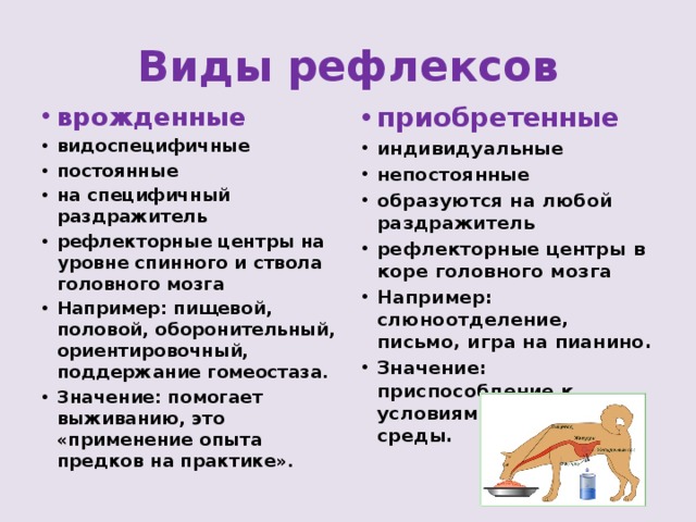 Виды рефлексов приобретенные врожденные индивидуальные непостоянные образуются на любой раздражитель рефлекторные центры в коре головного мозга Например: слюноотделение, письмо, игра на пианино. Значение: приспособление к условиям окружающей среды. видоспецифичные постоянные на специфичный раздражитель рефлекторные центры на уровне спинного и ствола головного мозга Например: пищевой, половой, оборонительный, ориентировочный, поддержание гомеостаза. Значение: помогает выживанию, это «применение опыта предков на практике». 