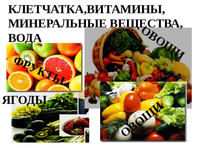КЛЕТЧАТКА,ВИТАМИНЫ, МИНЕРАЛЬНЫЕ ВЕЩЕСТВА, ВОДА ОВОЩИ ФРУКТЫ ОВОЩИ ЯГОДЫ