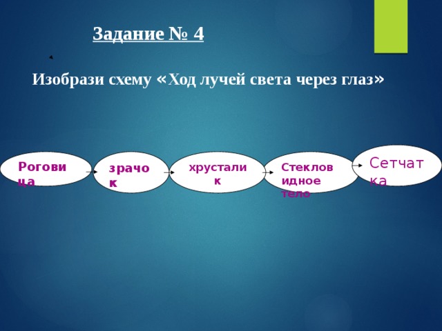      Задание № 4     Изобрази схему « Ход лучей света через глаз » Сетчатка Стекловидное тело хрусталик зрачок Роговица о 