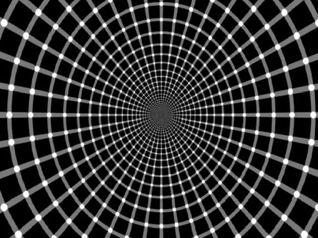 На изображениях динамических иллюзий ничего не движется. Fibonacci Динамическая иллюзия 