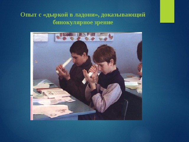 Опыт с «дыркой в ладони», доказывающий бинокулярное зрение   