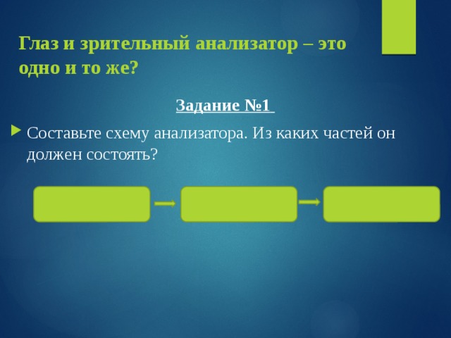 Глаз и зрительный анализатор – это одно и то же?  Задание №1  Составьте схему анализатора. Из каких частей он должен состоять?    