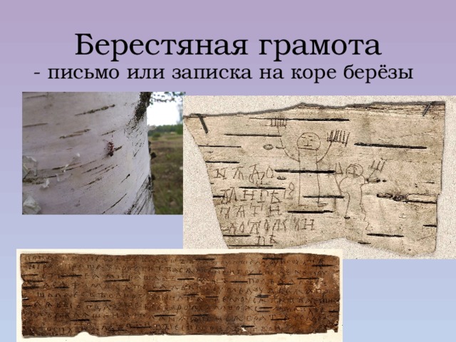 Берестяная грамота  - письмо или записка на коре берёзы 