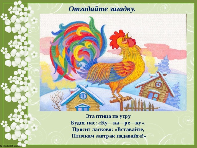 Отгадайте загадку. Эта птица по утру Будит нас: «Ку—ка—ре—ку». Просит ласково: «Вставайте, Птичкам завтрак подавайте!»   