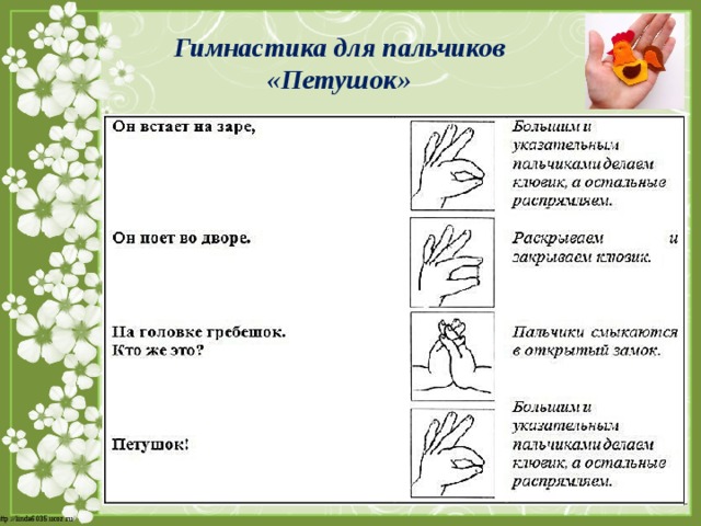 Гимнастика для пальчиков «Петушок» 