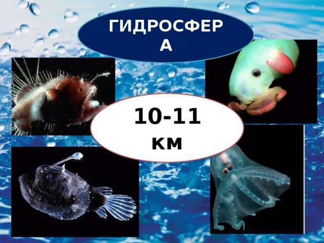 ГИДРОСФЕРА 10-11 км 