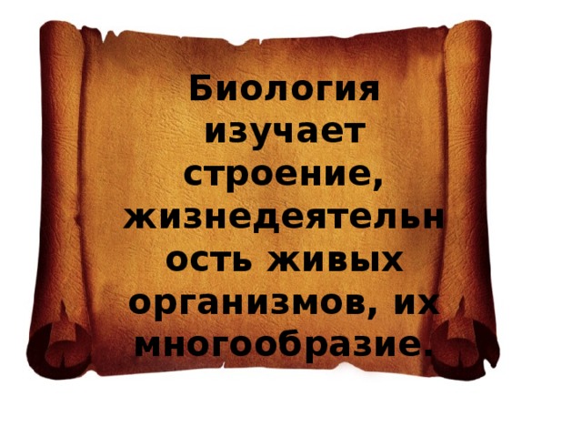 Биология изучает строение, жизнедеятельность живых организмов, их многообразие. 