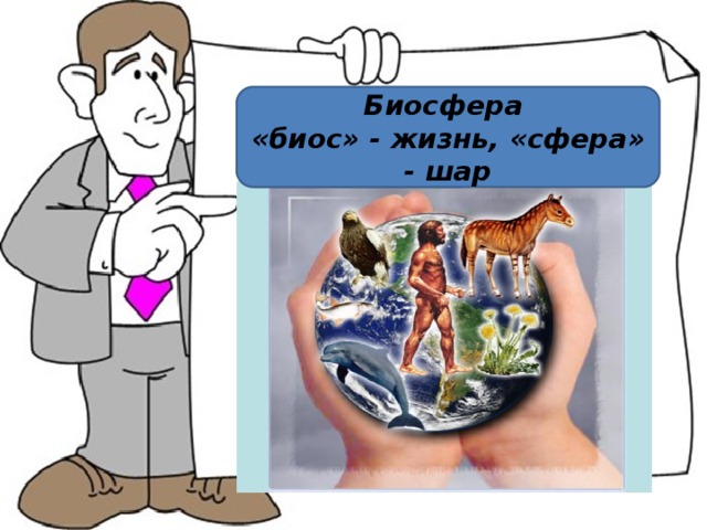 Биосфера «биос» - жизнь, «сфера» - шар 