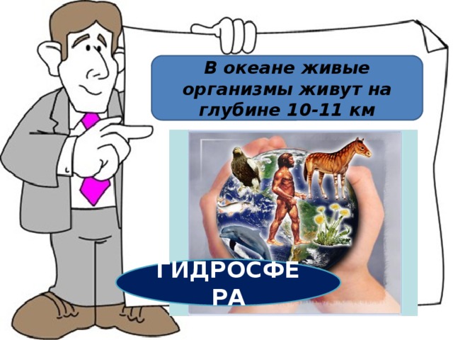 В океане живые организмы живут на глубине 10-11 км ГИДРОСФЕРА 